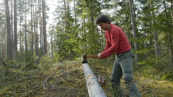Lumberjack Chopping Wood In The Forest. Male Tourist Chopping Wood With An Axe.
