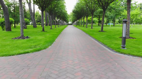 Moving Forward on a Cobblestone Walkway in a Park alt