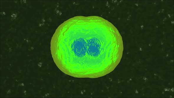 3D rendered Animation of a duplicating Cell alt