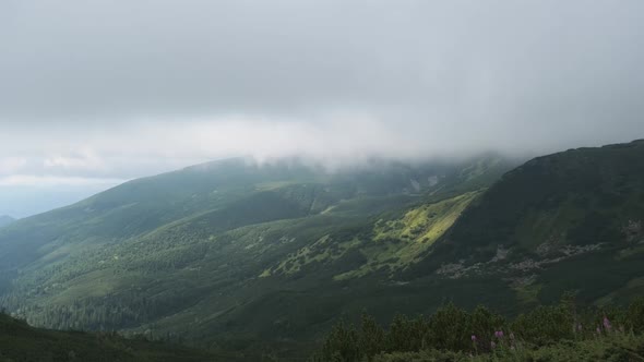 Low Clouds and Fog Slide Down the Mountain Slope in Strong Winds. Carpathians alt