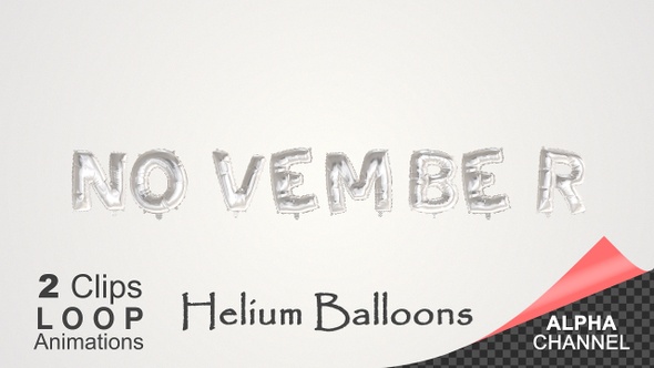 Month Of The Year - November