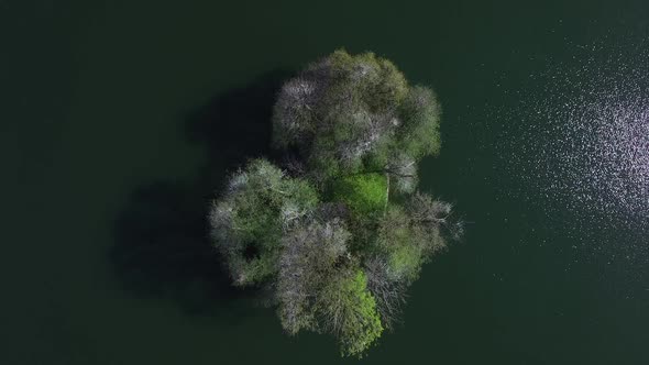 Trees Nature Ecology Environment Scenery alt