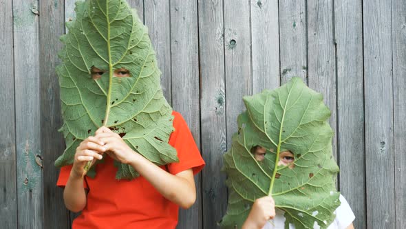 Funny Children Cover Faces with Large Burdock Leaves alt