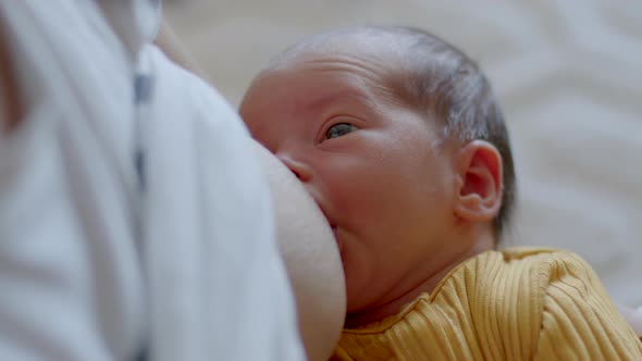 A Newborn Small Baby in Yellow Jumpsuit Eating Milk From the Mother's Breast alt