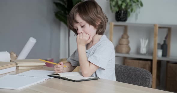 A Cheerful Little Boy is Solving Math Tasks and Finding Answers to Tests to Prepare for School alt