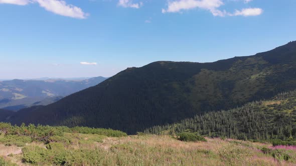 Beautiful Mountainous Area. Forest in the Mountains. View From Above. Trees Grow on Hills. Ukrainian