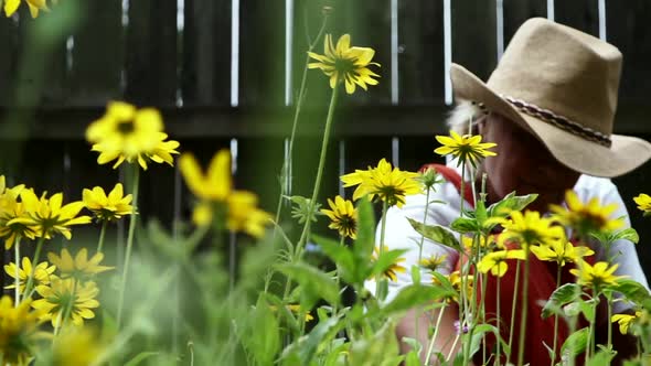 Farm Woman Sitting And Removing Weeds Growing With The Lovely Flowers Of Black-eyed Susan In The Gar alt