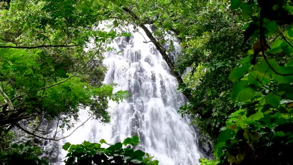 A glimpse of stunning Kepirohi Waterfall through the forest trees on the tropical island in Pohnpei, alt