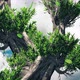 Summer Tree 4K - VideoHive Item for Sale