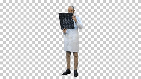 Male doctor analysing Xray results, Alpha Channel
