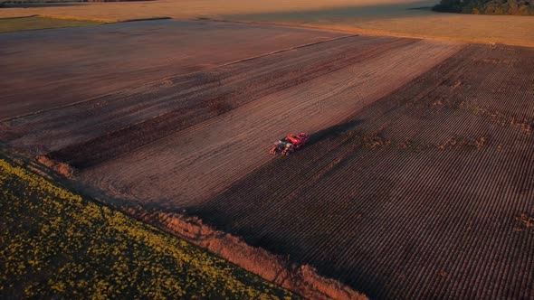 Aerial video of combine potatoes digger loading harvested potato into lorry truck