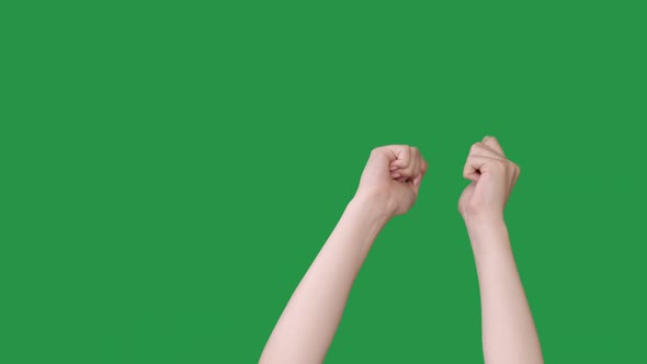 Celebration Gesture Victory Joy Hands Fist Shaking alt