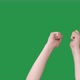 Celebration Gesture Victory Joy Hands Fist Shaking - VideoHive Item for Sale