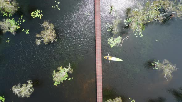 Tourists Canoe or kayak in mangrove forests at Rayong Botanical, Thailand.