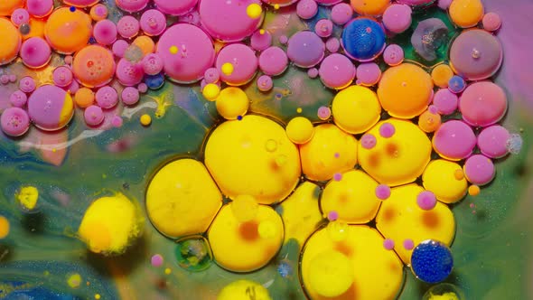 Bubbles Float in Liquid Paint Mixing Ink Oil and Milk Abstract Multicolor Hypnotic Painting alt