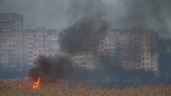 Burning Sedge with Tongues of Flame on the Dnipro Bank in the Evening in Spring 
