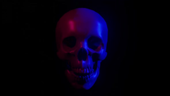 Skull Darkness 02 Hd