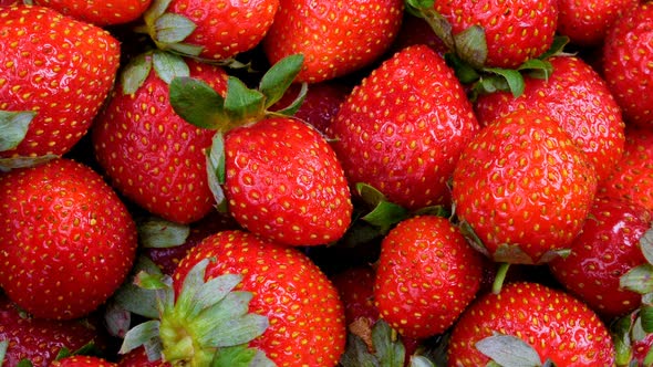 Fresh Strawberries Spinning
