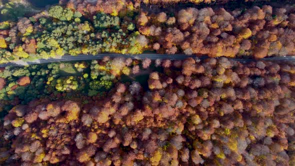 Autumn colors and mountain road aerial view alt