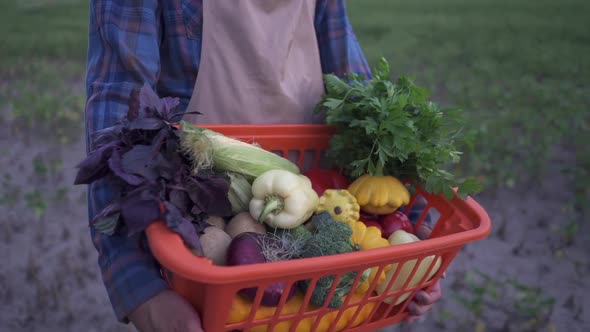 Farmer Holding a Basketof Freshly Picked Organic Vegetables