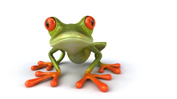 Frog saying hello, Motion Graphics | VideoHive