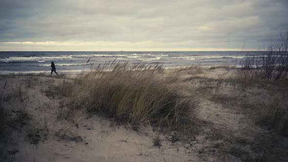 Baltic Winter Storm on a Background of Sand Dunes