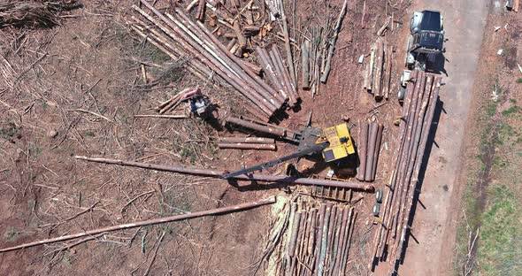 Hydraulic Manipulator Forklift Truck Grabs the Loader Log in Transported Moving Logs alt