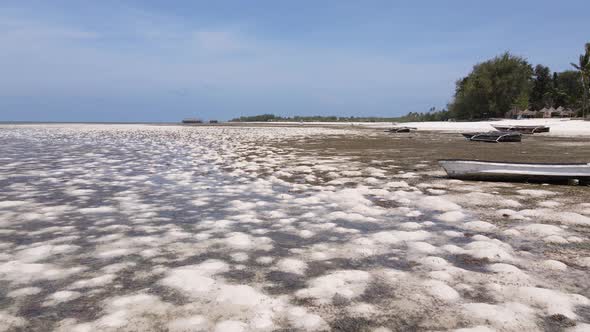Low Tide in the Ocean Near the Coast of Zanzibar Tanzania Slow Motion alt