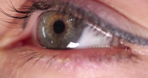 Closeup of Woman Green Eye with Permanent Makeup  Movie Slow Motion alt