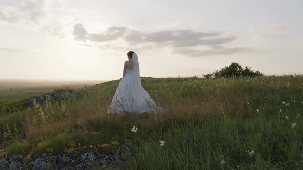Back Side View of Beautiful Bride in White Dress alt