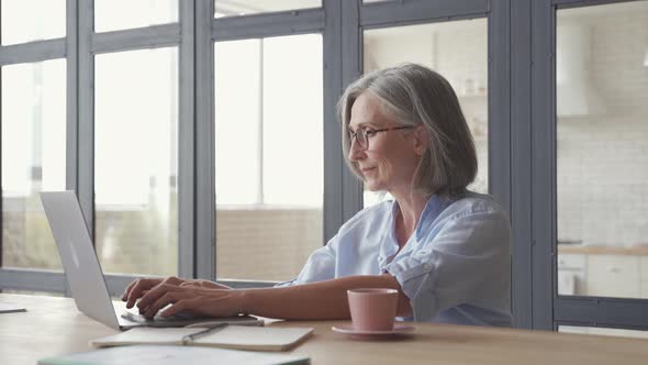 Senior Older Middle Aged Woman Using Laptop Computer Sitting at Workplace alt