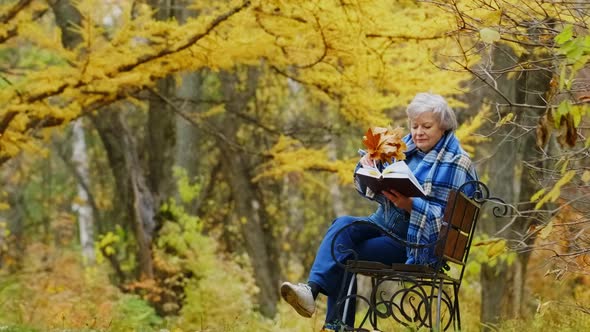 Elderly Woman Walks in the Park in Autumn and Relaxes. alt