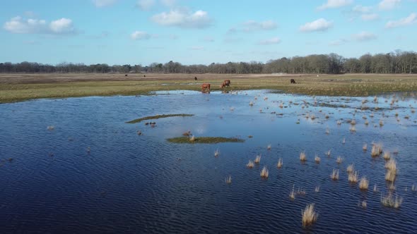 Lake Wasmeer in Hilversum and Laren, the Netherlands, Aerial flying towards the Aurochs alt