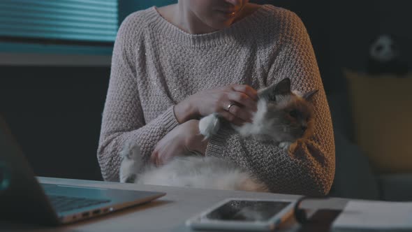 Woman holding her cat and using her laptop