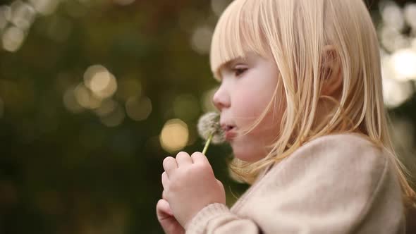 Beautiful Little Baby Girl Blowing on a Dandelion