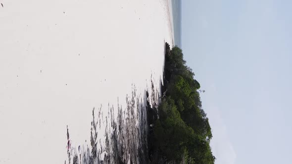 Vertical Video Empty Beach on Zanzibar Island Tanzania Aerial View alt