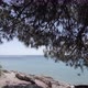 Video of trees on a beach in the Greece. - VideoHive Item for Sale
