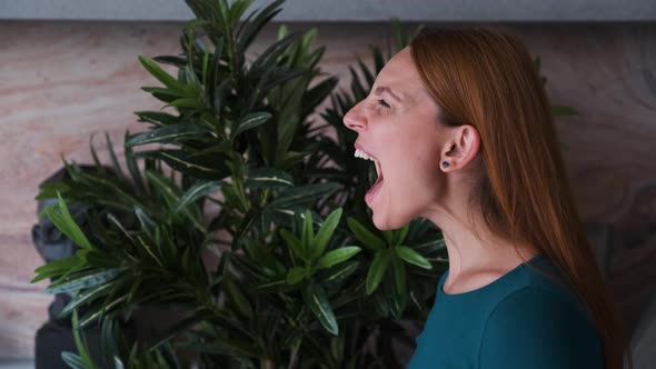 Young Angry Business Woman Is Screaming alt