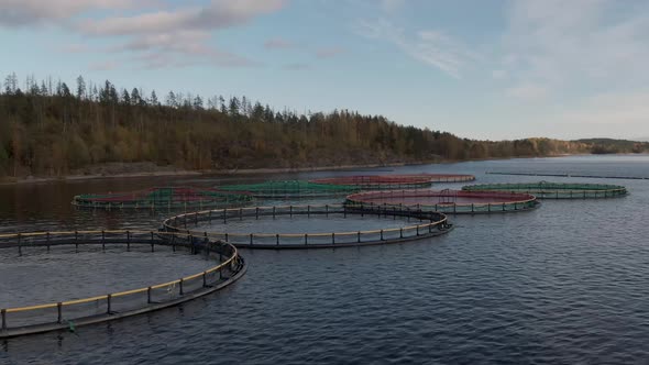 Fish Farm on Lake Ladoga Aerial Footage