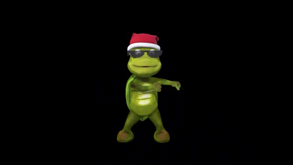 Cartoon Young Turtle Dance 5 alt
