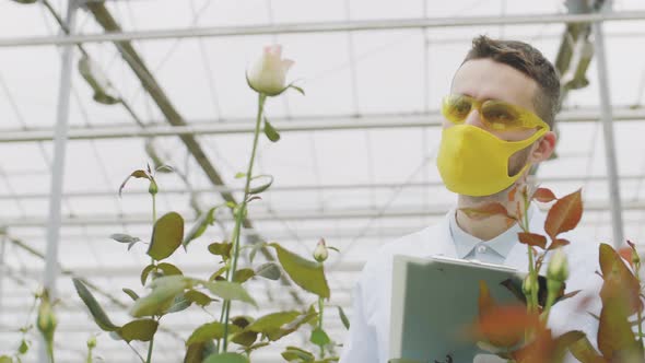 Agricultural Engineer Spraying Flowers Using Sprayer alt
