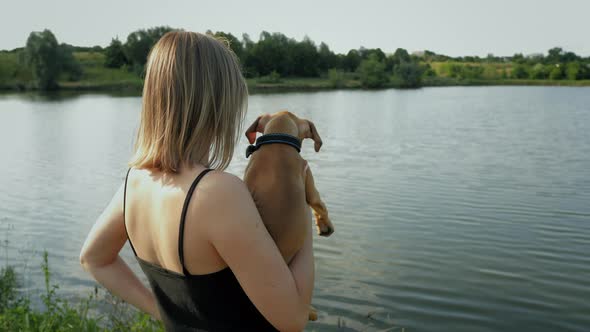 Portrait of Cute Small German Boxer Puppy in Nature Near the Lake Woman Holds Dog on Arms