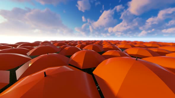 Sky And Umbrellas alt