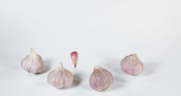 Garlic, allium savitum, Falling against White Background, Slow motion 4K alt