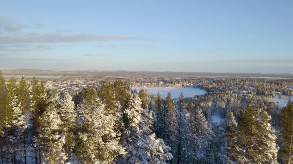 Aerial view above idyllic sunny snow covered woodland Norrbotten Sweden polar wilderness alt
