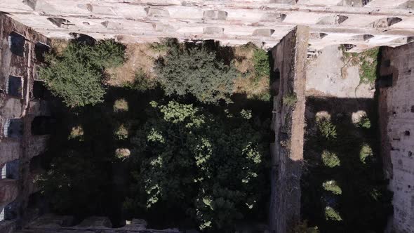 Historical Relic Ruin alt