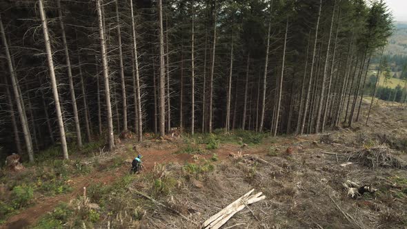 Mountain Bike Drone Video Of Jumps In Forest Clear Cut alt