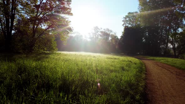 Dirt Path Meadow with Bright Green Grass Morning Dew Trees with Green Leaves alt