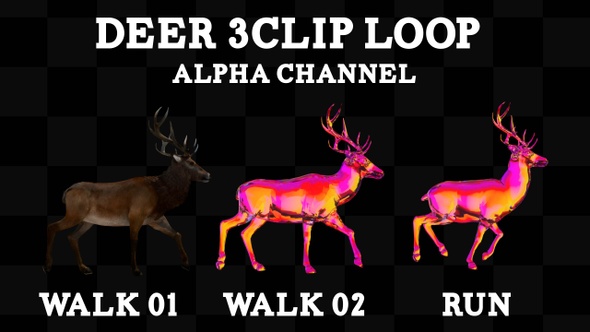 Deer 3 Clip Loop Alpha