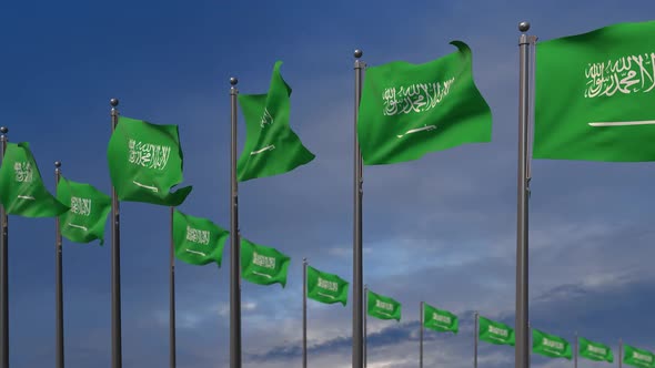 The Saudi Arabia Flags Waving In The Wind  2K alt